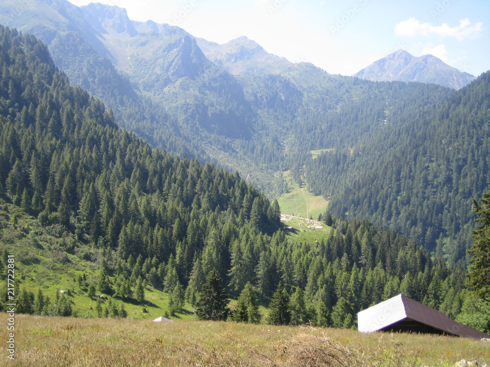 Monte Bondone Trentino