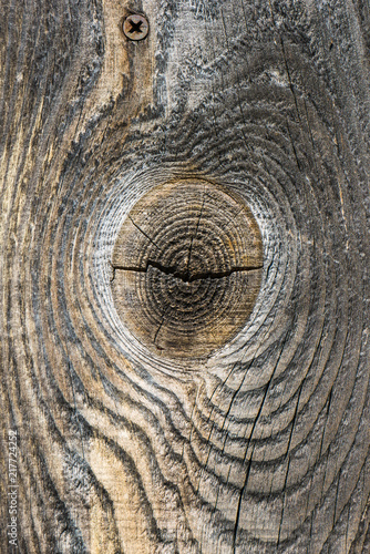 Close up of grey wooden planks with crackes and natural wooden pattern rings. Abstract texture background