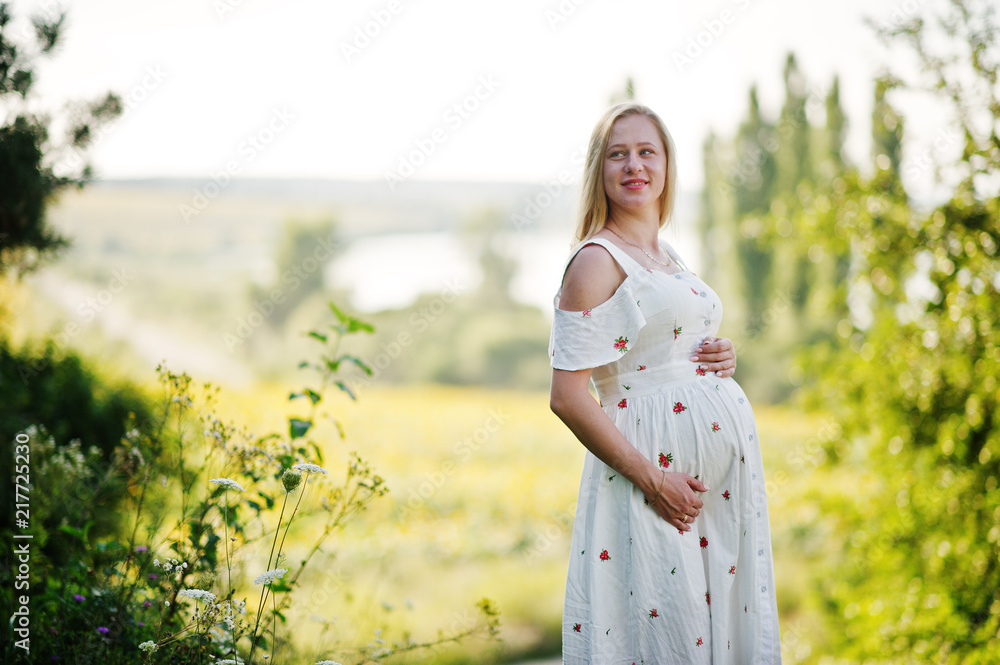 Blonde pregnant mother in meadow field. Happy moments of pregnancy. Blonde pregnant mother in meadow field. Happy moments of pregnancy.
