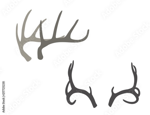 Deer antlers. Hand drawn vector illustration, design elements