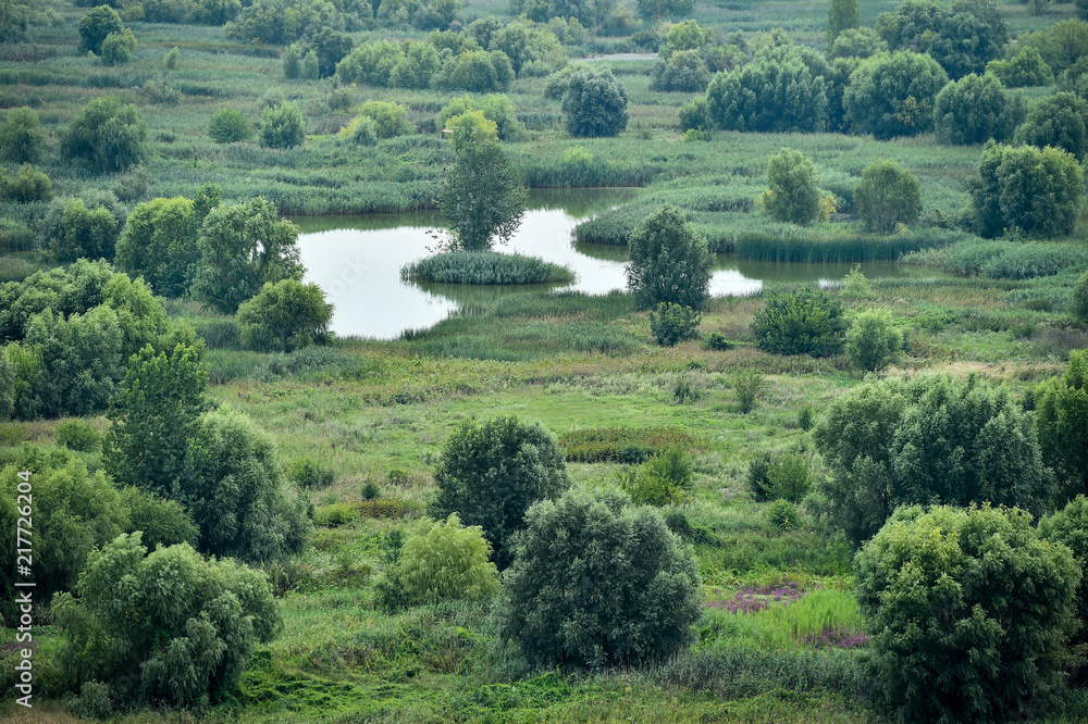 Aerial view of the Vacaresti Nature Park in Bucharest