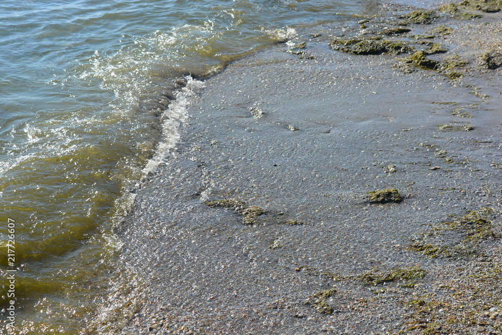 Beautiful waves of the black sea on yellow wet sand with green algae
