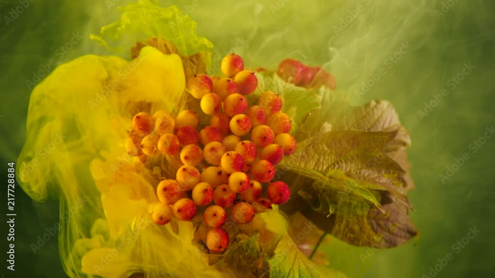 Amazing spreading of paint on beautiful autumn bouquet. Amazing spreading of paint on beautiful autumn bouquet.