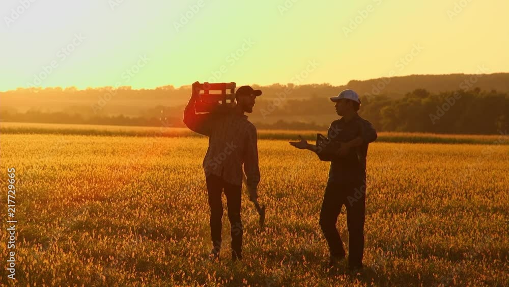 two farmers with a shovel walking on the field. They carry equipment for planting a tree. On the Sunset. Side view two farmers with a shovel walking on the field. They carry equipment for planting a tree. On the Sunset. Side view
