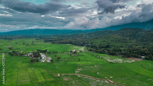 Aerial view shot with drone of Asian green fields 