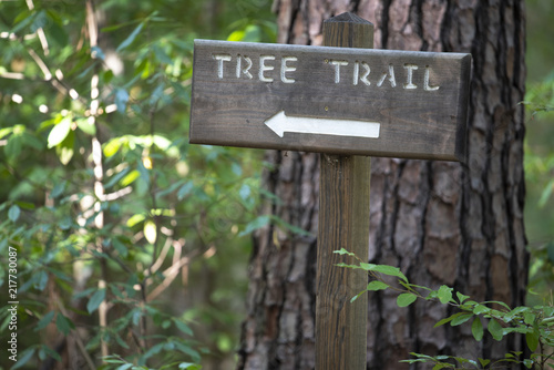 Tree Trail sign