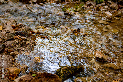 Water in a forest stream closeup 