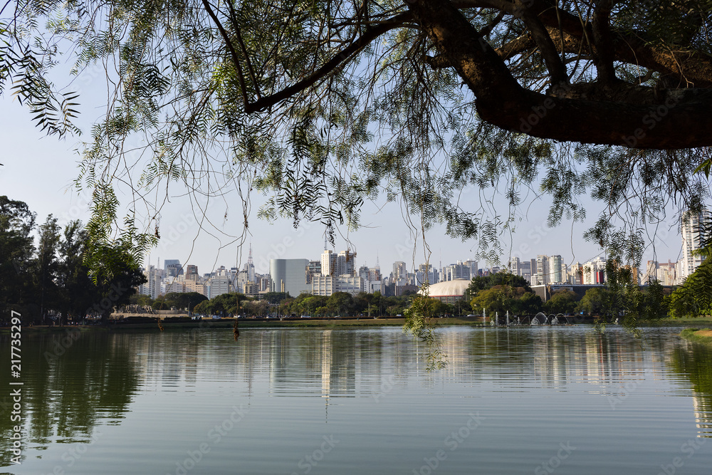 View of São Paulo from the lake View of São Paulo from the lake