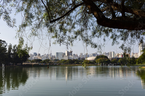 View of São Paulo from the lake