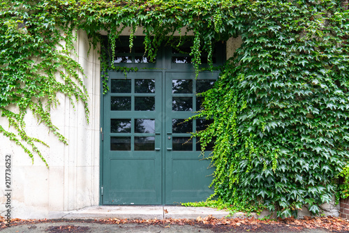 Doorway with ivy