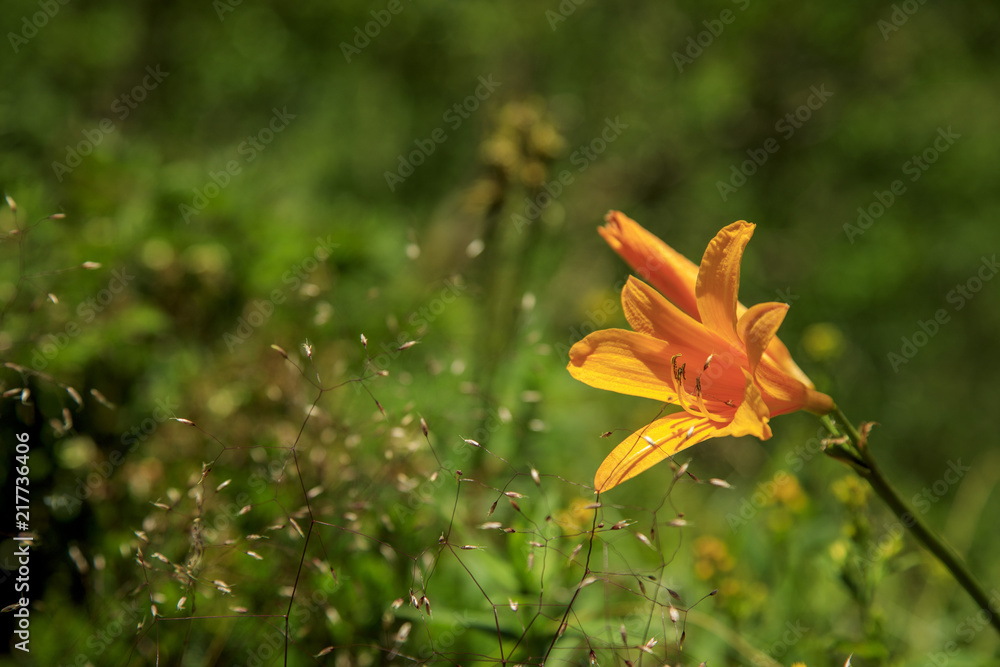 Obraz premium 北アルプス 燕岳 大天井岳 槍ヶ岳 表銀座縦走 140