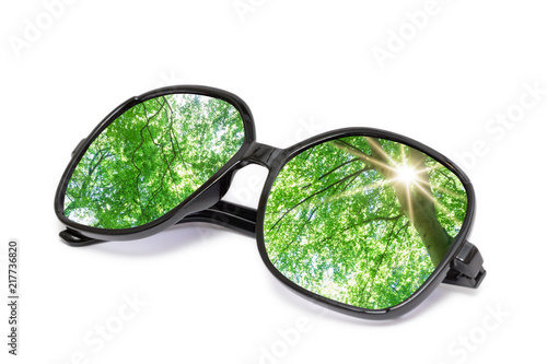 Brille mit Wald im Glas auf weiß isoliert