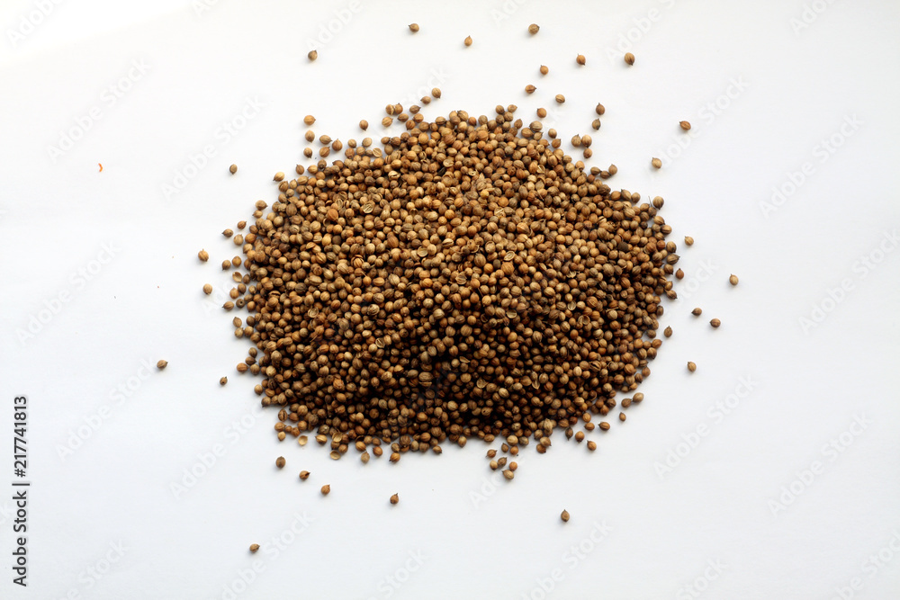 Mustard seeds on white. Mustard seeds on white.