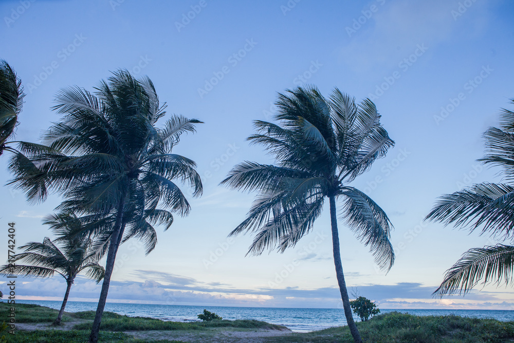 Fototapeta premium Recife - Boa Viagem