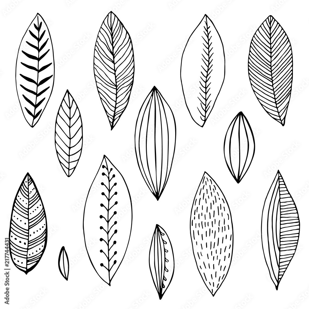 black and white set of stylized hand-drawn leaves black and white set of stylized hand-drawn leaves