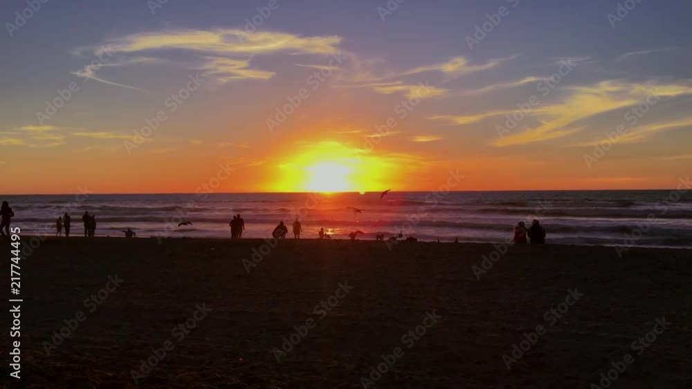 Seagulls glide along a California beach sunset Seagulls glide along a California beach sunset