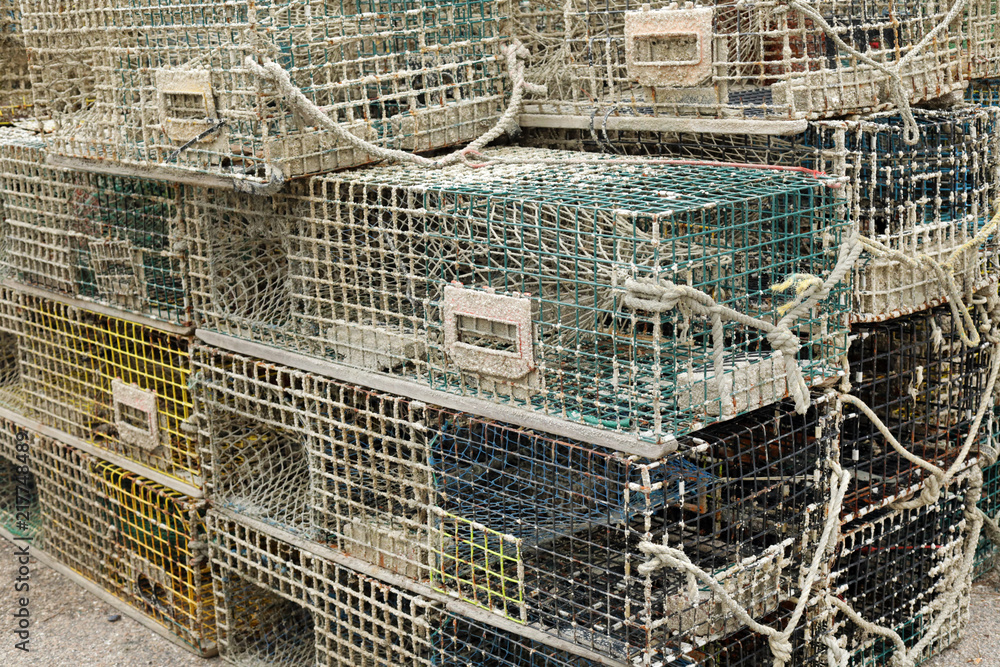 Obraz premium crab traps