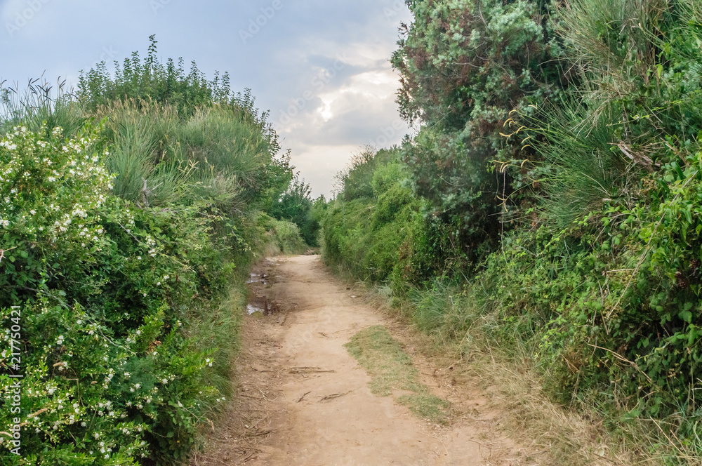 Path on Kamenjak National Park in Croatian Istria Path on Kamenjak National Park in Croatian Istria
