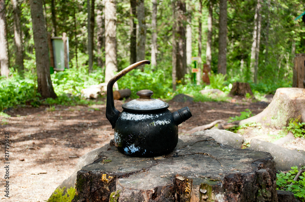 Tourist teapot in the background of the old pine forest. The concept of hiking and recreation. Tourist teapot in the background of the old pine forest. The concept of hiking and recreation.