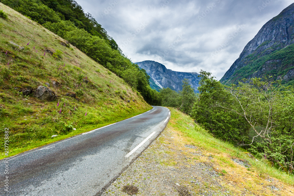 Road in Norwegian mountains