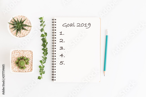 Top view text 2019 goals on white notebook with cactus on white background, flat lay photo and copy space
