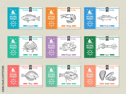 Seafood labels. Design template with hand drawn illustrations of fish and other seafood