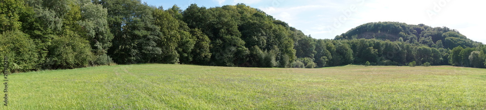 Obraz premium Sommerwiese