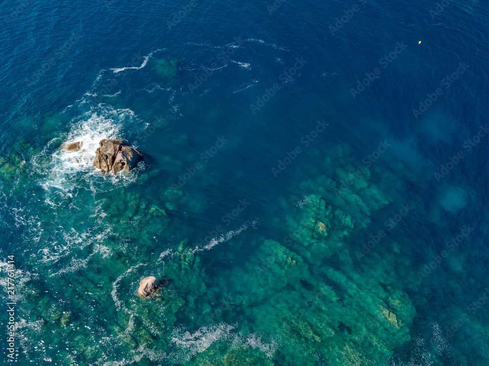 Fototapeta premium Fonds marins de la Méditerranée en Corse dans le Golfe d'Ajaccio