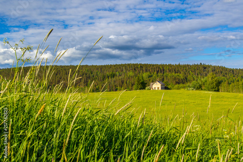 Field on the background of ...