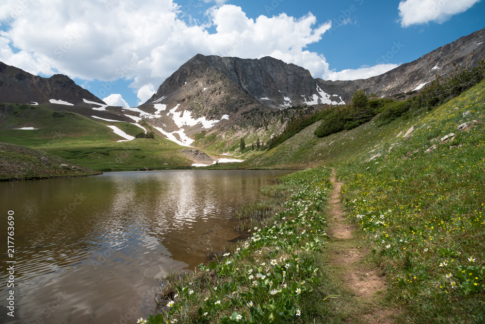 Wildflowers line the shore of American Lakes in the Never Summer Mountain Range, Colorado
