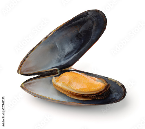 Single boiled mussel