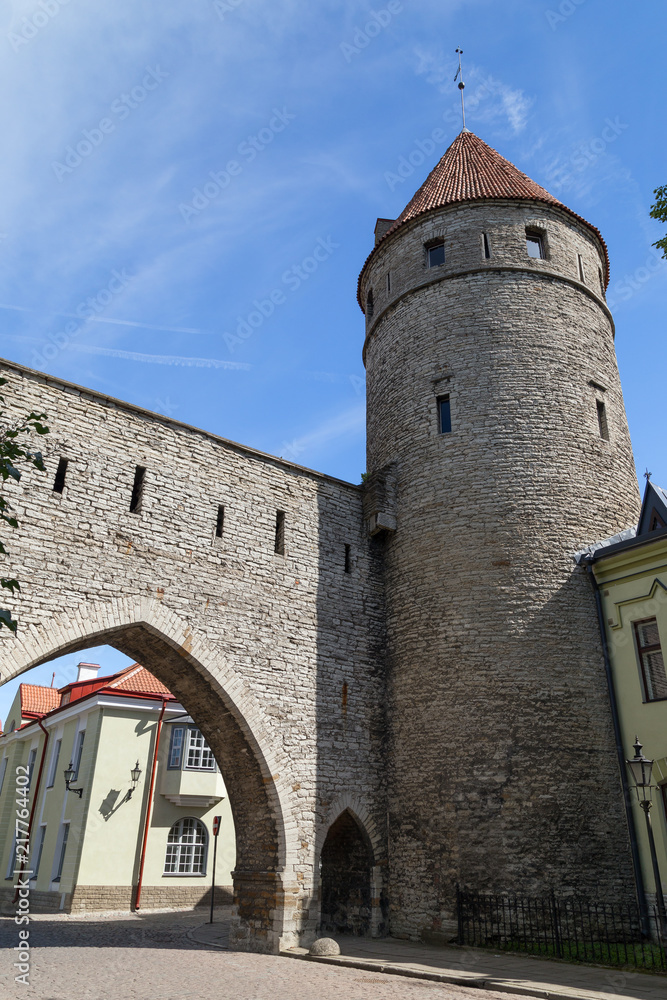 Gate, medieval city wall (or Town Wall or Walls of Tallinn) and a tower at the Old Town in Tallinn, Estonia, on a sunny day in the summer.