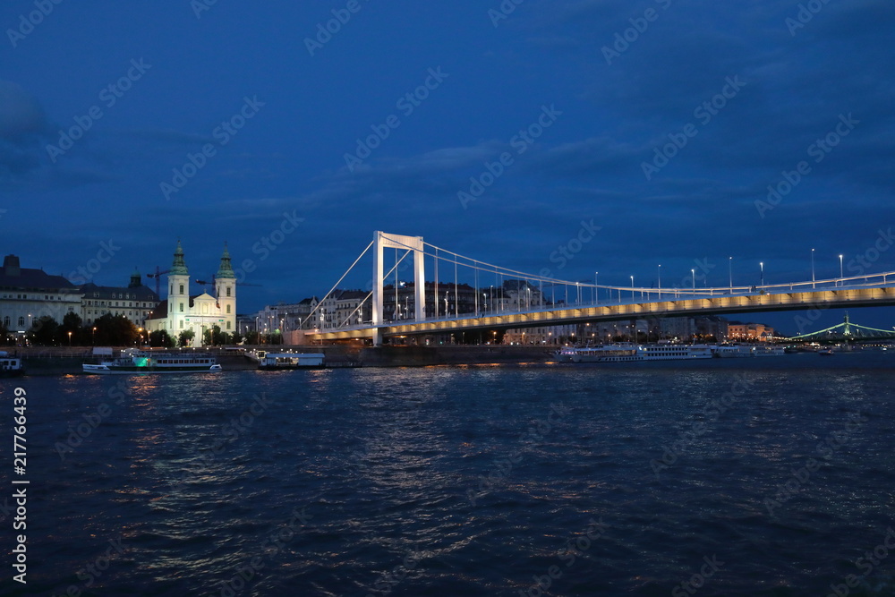 Obraz premium Panoramic views of night bridges through Danube with illumination.