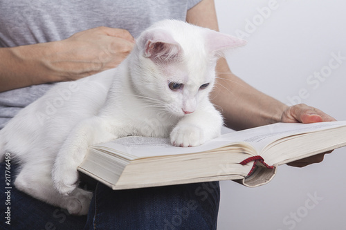 kitap okuyan kedi photo