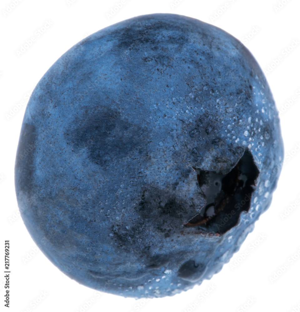 Fresh blueberries with water drops isolated on white background - close up Fresh blueberries with water drops isolated on white background - close up