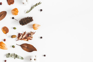 Autumn composition. Frame made of eucalyptus branches, cotton flowers, dried leaves on white background. Autumn, fall concept. Flat lay, top view, copy space