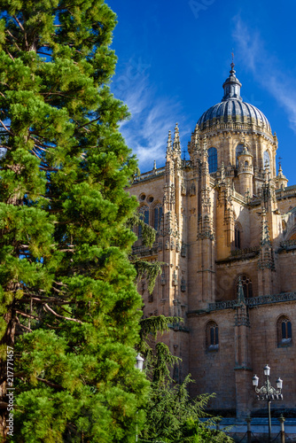 Salamanca architecture