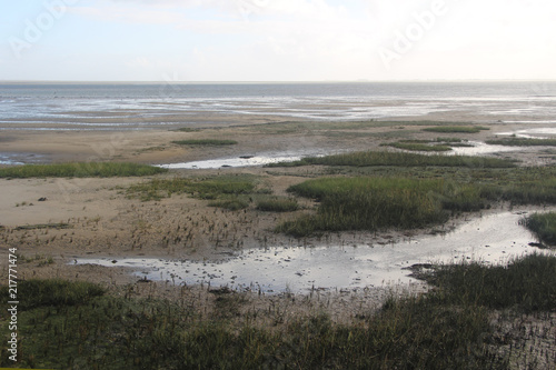 Weltnaturerbe Wattenmeer Salzwiesen von Wangerooge