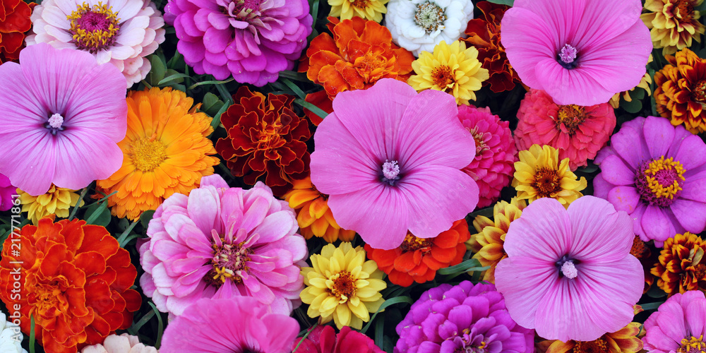 Floral background, top view. Good backdrop for a greeting or postcard. Floral background, top view. Good backdrop for a greeting or postcard.
