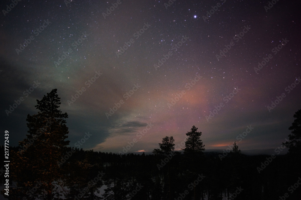 Night sky with stars above boreal forest in Finnish Lapland. Night sky with stars above boreal forest in Finnish Lapland.