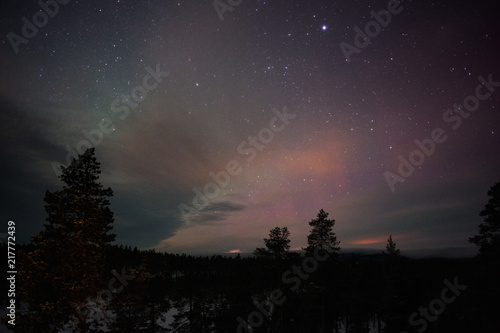 Night sky with stars above boreal forest in Finnish Lapland. © ekim