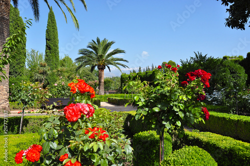 Alhambra gardens, Granada, Spain