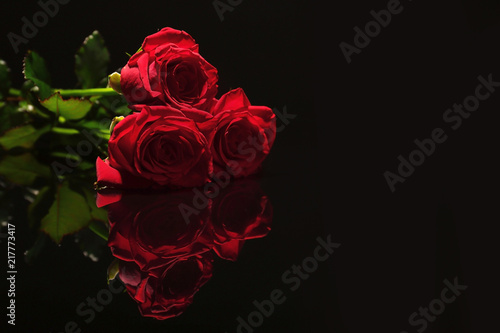 Beautiful red roses on black background. Funeral symbol