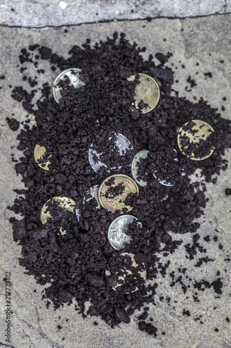 black soil money