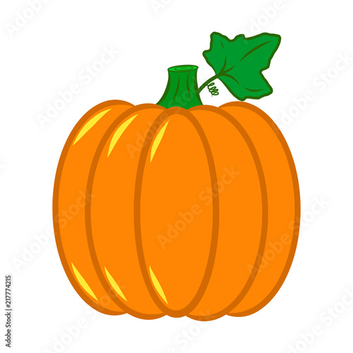 Vector Autumn Fall Pumpkin Icon