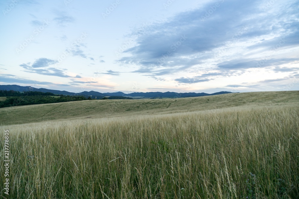 Green grass on meadow. Slovakia Green grass on meadow. Slovakia