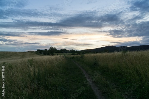 Green grass on meadow. Slovakia