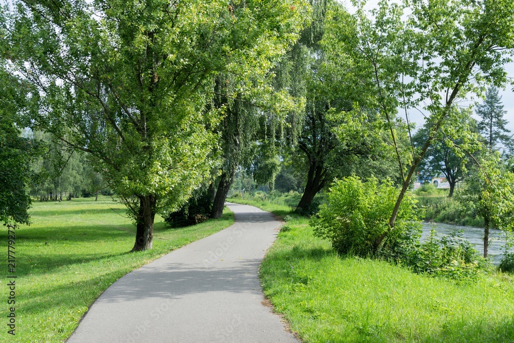 Fototapeta premium Trees in the park. Slovakia