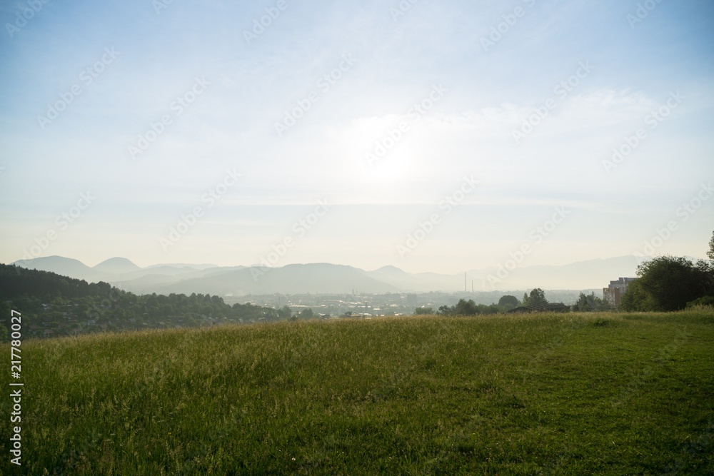 Grass on the meadow. Slovakia