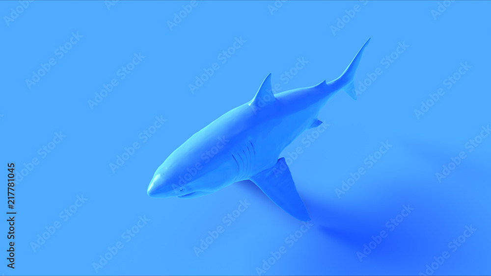 Obraz premium Blue Great White Shark